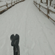 Illustration for article titled It snowed last night so I decided to ride my bike to work today